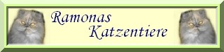 Banner_Ramonas_Katzentiere_1