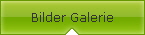 Bilder Galerie