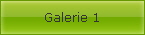 Galerie 1