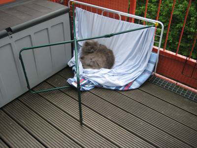 Es findet sich immer ein Pl�tzchen