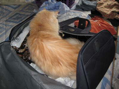 Wir gehen auf Reisen 2