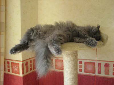 Mal so richtig abh�ngen...