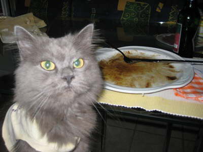 Wieder nix �bergelassen