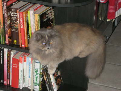 Ich glaub die hat...