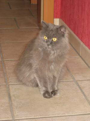 Hier �be ich "artigsein"