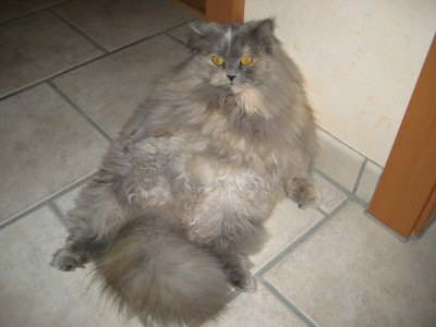 bleiben, wie ich bin