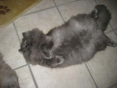 Tom beim H�schen spielen...