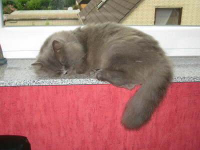 Tom's Lieblingsplatz