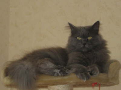 db_db_Lieblingsplatz-Lucy11