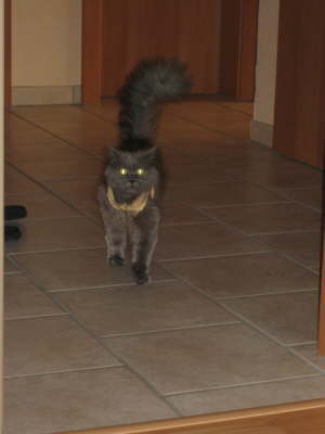 db_db_Mami_hat_gerufen61