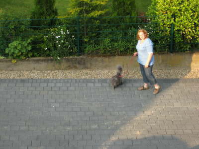 Tom-beim-Spaziergang